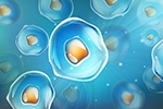 Emerging Orthobiologic Treatments: Beyond PRP for Hip Joint Health