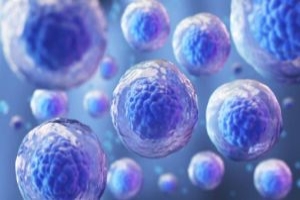 The Evolution of Stem Cell Research in Orthopedics